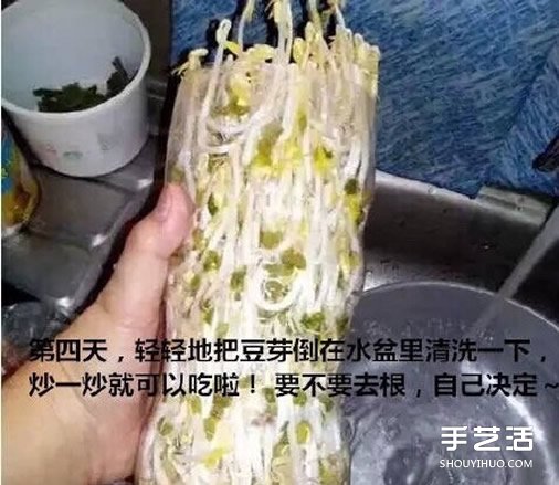 可樂(lè)瓶子種豆芽的方法 家庭種豆芽的簡(jiǎn)單教程 -  rpnrmr.com