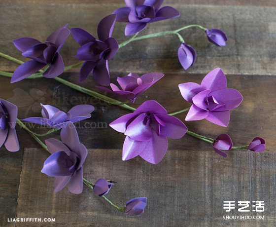 漂亮蘭花的制作方法圖解 手工蘭花折紙步驟圖 -  rpnrmr.com