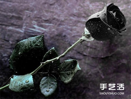 不尋常材質(zhì)制作而成的玫瑰花 不但好看還好吃 -  rpnrmr.com