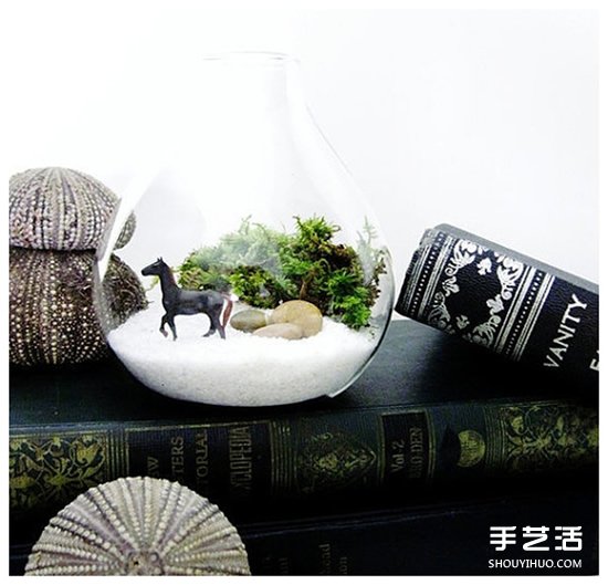 如何隨手利用家里現(xiàn)有的小東西做植物盆景 -  rpnrmr.com