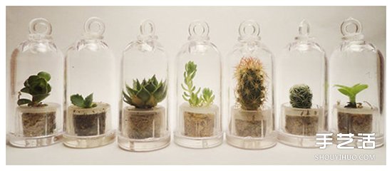 如何隨手利用家里現(xiàn)有的小東西做植物盆景 -  rpnrmr.com