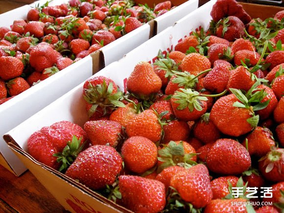 如何簡單快速去除草莓蒂頭 只要一根吸管就OK -  rpnrmr.com