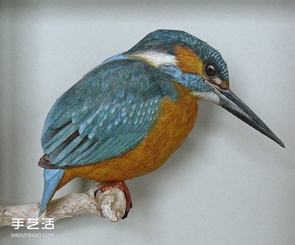 精細(xì)入微的紙鳥模型 大師級(jí)鳥類紙模型圖片 -  rpnrmr.com