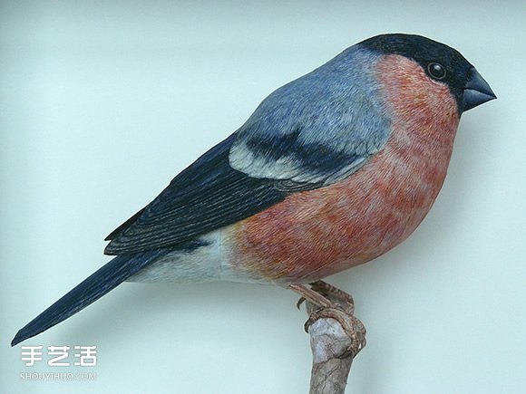 精細(xì)入微的紙鳥模型 大師級(jí)鳥類紙模型圖片 -  rpnrmr.com