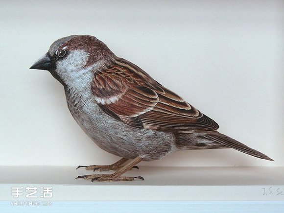精細(xì)入微的紙鳥模型 大師級(jí)鳥類紙模型圖片 -  rpnrmr.com