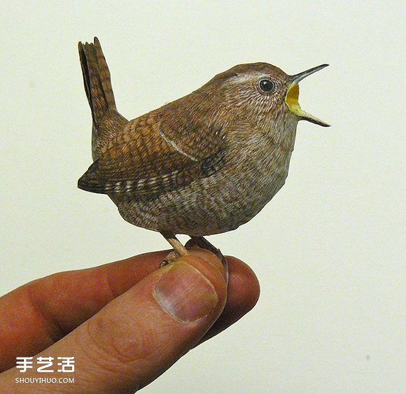 精細(xì)入微的紙鳥模型 大師級(jí)鳥類紙模型圖片 -  rpnrmr.com