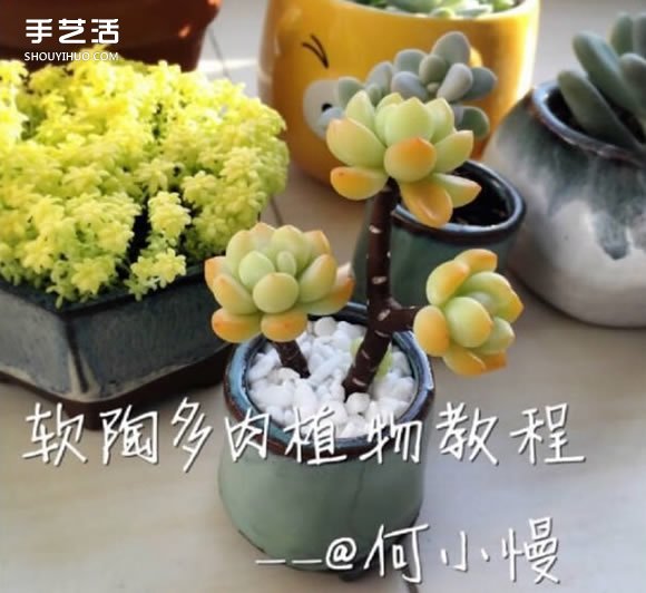 軟陶多肉手工制作教程 多肉植物軟陶教程圖解 -  rpnrmr.com