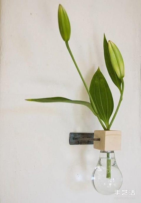 治愈系綠色盆景DIY圖片 溫馨家居的點睛之筆 -  rpnrmr.com
