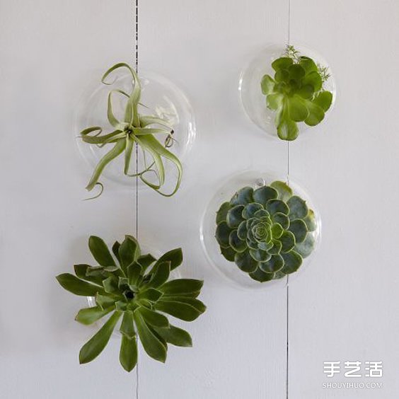 治愈系綠色盆景DIY圖片 溫馨家居的點睛之筆 -  rpnrmr.com