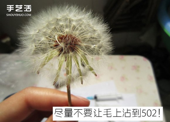 嵌花樹脂蒲公英制作教程 蒲公英樹脂標本DIY -  rpnrmr.com