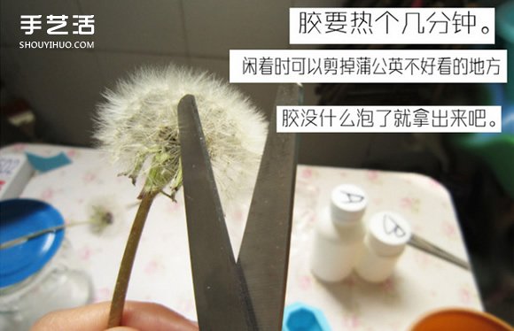 嵌花樹脂蒲公英制作教程 蒲公英樹脂標本DIY -  rpnrmr.com