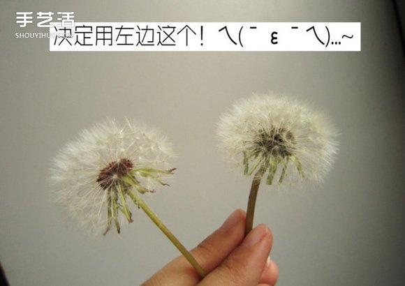嵌花樹脂蒲公英制作教程 蒲公英樹脂標本DIY -  rpnrmr.com