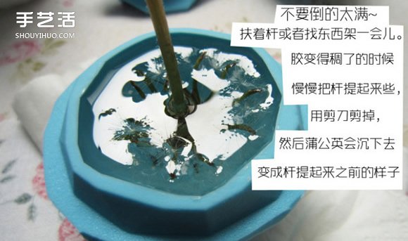 嵌花樹脂蒲公英制作教程 蒲公英樹脂標本DIY -  rpnrmr.com