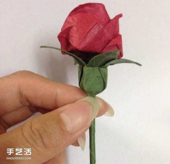 超詳細(xì)川崎玫瑰的折法圖解 包括花朵和花托 -  rpnrmr.com