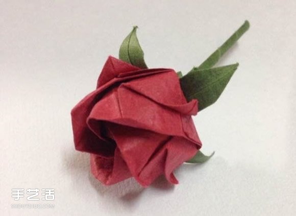 超詳細(xì)川崎玫瑰的折法圖解 包括花朵和花托 -  rpnrmr.com