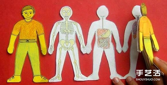 幼兒園玩教具制作：教小朋友認(rèn)知身體主要器官 -  rpnrmr.com