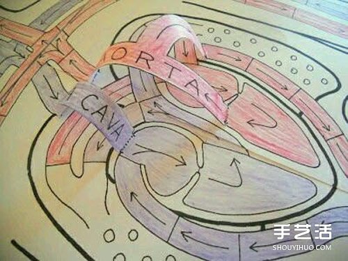 幼兒園玩教具制作：教小朋友認(rèn)知身體主要器官 -  rpnrmr.com