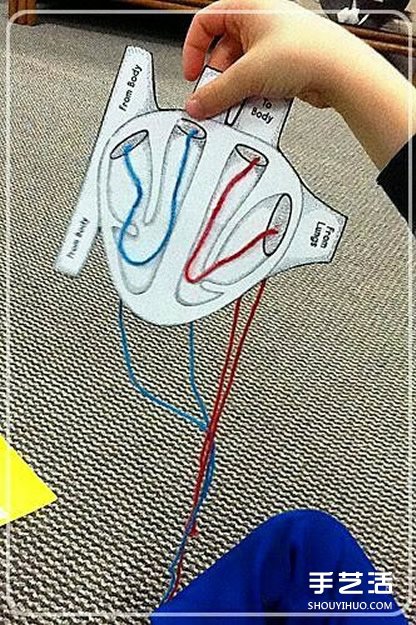 幼兒園玩教具制作：教小朋友認(rèn)知身體主要器官 -  rpnrmr.com