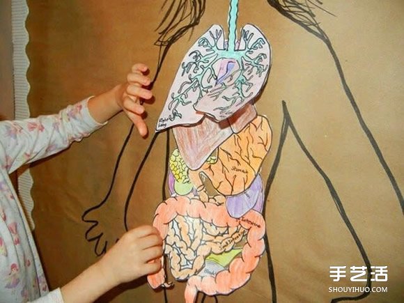 幼兒園玩教具制作：教小朋友認(rèn)知身體主要器官 -  rpnrmr.com