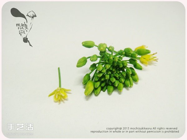 嵌花樹(shù)脂的制作方法 手工樹(shù)脂嵌花DIY教程 -  rpnrmr.com