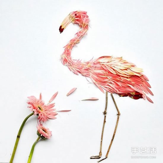 花瓣拼貼畫作品圖片 拼出充滿異國(guó)情調(diào)的鳥類 -  rpnrmr.com