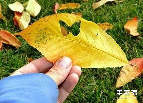 樹葉貼畫創(chuàng)意制作方法 用打孔器切出喜歡形狀 -  rpnrmr.com