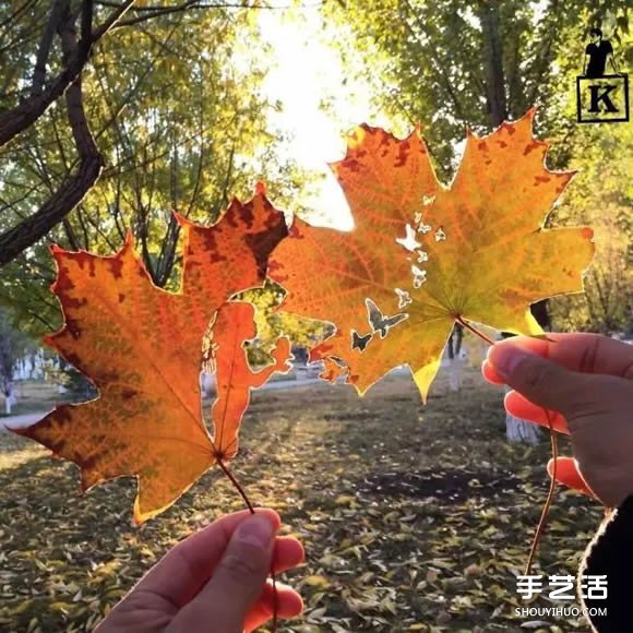 葉子切割畫作品圖片 精美手工葉切畫圖片欣賞 -  rpnrmr.com