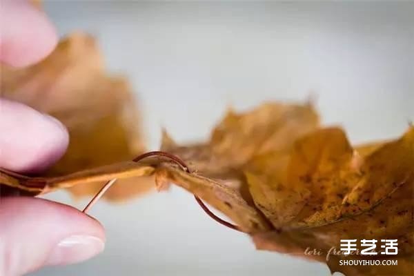 樹葉皇冠的做法圖片 手工楓葉皇冠制作方法 -  rpnrmr.com