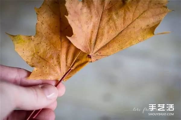 樹葉皇冠的做法圖片 手工楓葉皇冠制作方法 -  rpnrmr.com