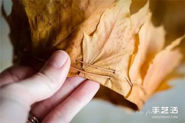 樹葉皇冠的做法圖片 手工楓葉皇冠制作方法 -  rpnrmr.com