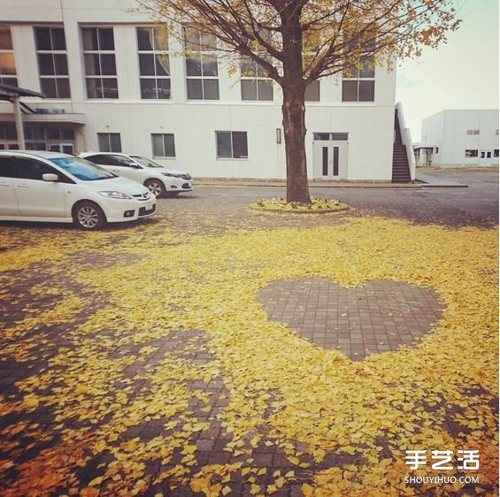 掃地也能很詩(shī)意 這么DIY讓秋天落葉更浪漫！ -  rpnrmr.com