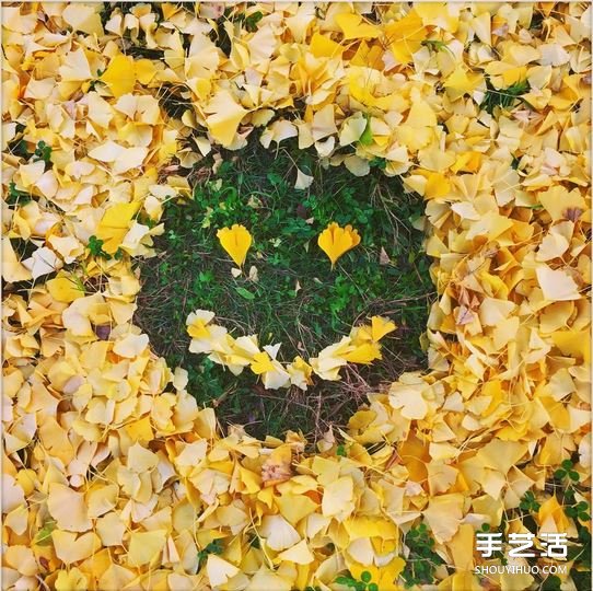 掃地也能很詩(shī)意 這么DIY讓秋天落葉更浪漫！ -  rpnrmr.com