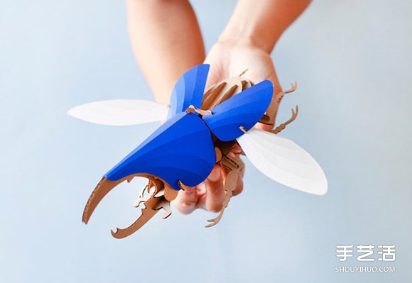 3D昆蟲紙雕 通過拼圖讓你找回手作的樂趣 -  rpnrmr.com