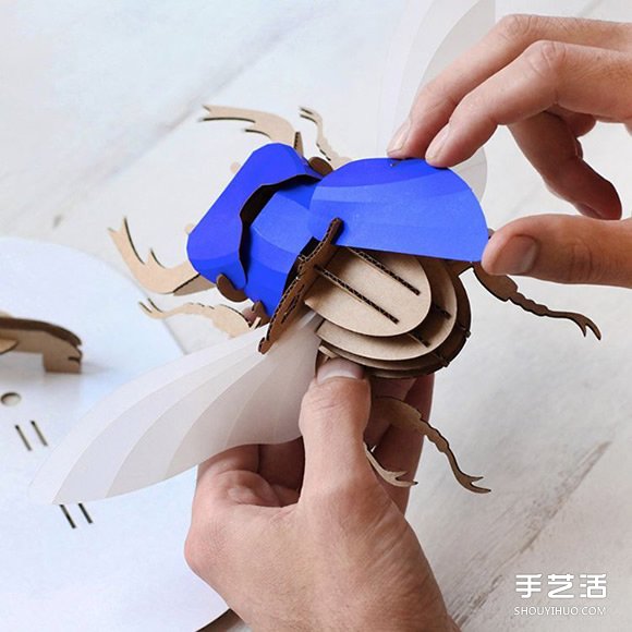 3D昆蟲紙雕 通過拼圖讓你找回手作的樂趣 -  rpnrmr.com