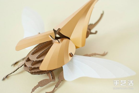 3D昆蟲紙雕 通過拼圖讓你找回手作的樂趣 -  rpnrmr.com