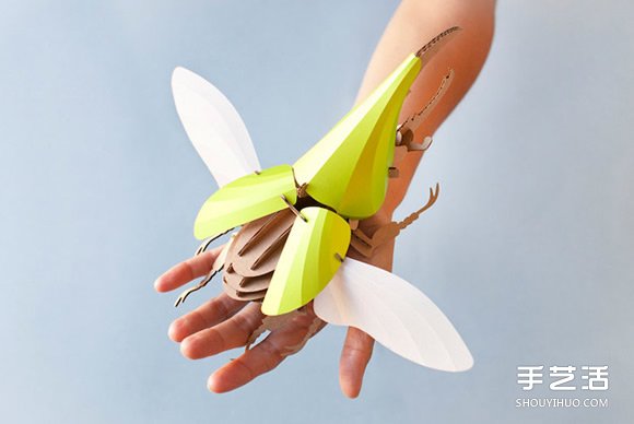 3D昆蟲紙雕 通過拼圖讓你找回手作的樂趣 -  rpnrmr.com