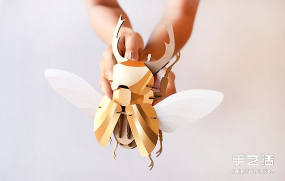3D昆蟲紙雕 通過拼圖讓你找回手作的樂趣 -  rpnrmr.com