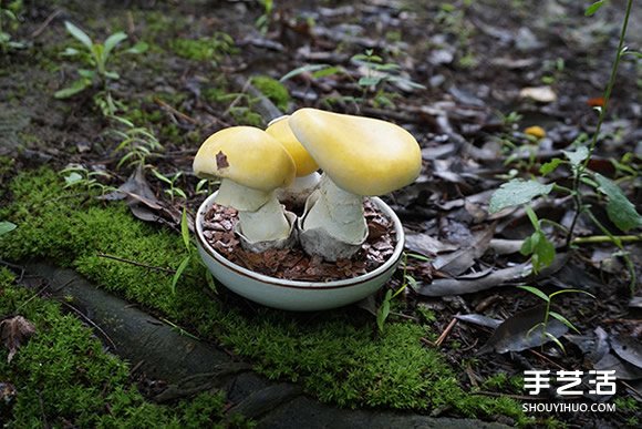 逼真的粘土蘑菇作品欣賞 看著好治愈??！ -  rpnrmr.com