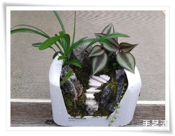 微型花園：廢舊烤面包機(jī)改造制作的美麗盆景 -  rpnrmr.com