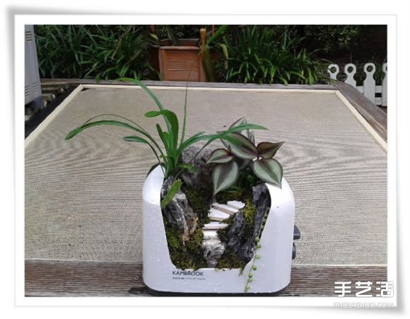 微型花園：廢舊烤面包機(jī)改造制作的美麗盆景 -  rpnrmr.com