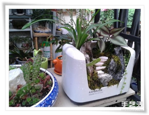 微型花園：廢舊烤面包機(jī)改造制作的美麗盆景 -  rpnrmr.com