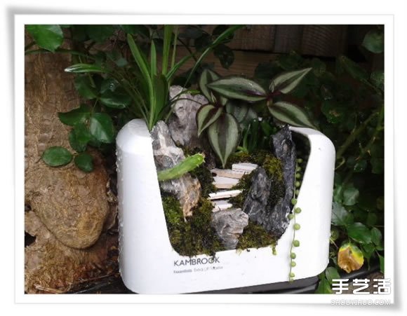 微型花園：廢舊烤面包機(jī)改造制作的美麗盆景 -  rpnrmr.com
