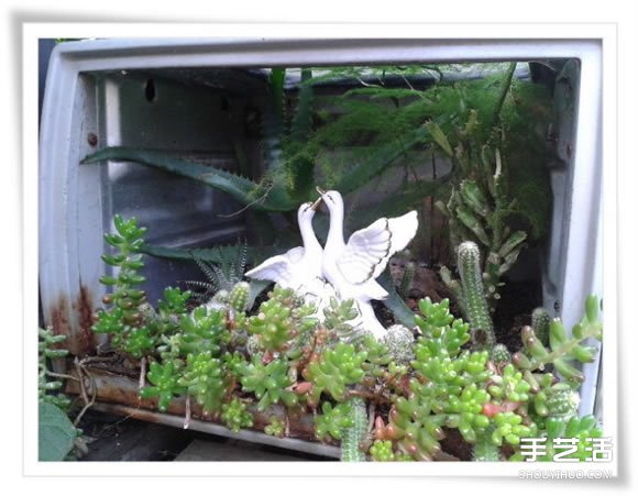 微型花園：廢舊烤面包機(jī)改造制作的美麗盆景 -  rpnrmr.com