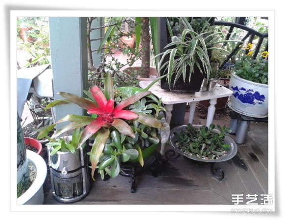 微型花園：廢舊烤面包機(jī)改造制作的美麗盆景 -  rpnrmr.com
