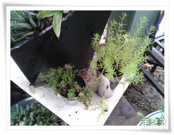 微型花園：廢舊烤面包機(jī)改造制作的美麗盆景 -  rpnrmr.com