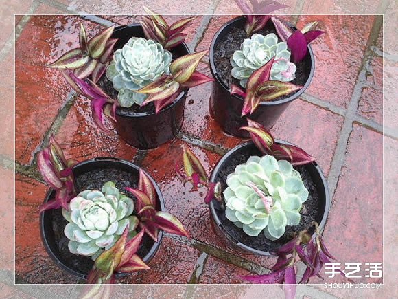 木質(zhì)花架制作方法圖解 自制多層花盆架子做法 -  rpnrmr.com