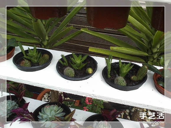 木質(zhì)花架制作方法圖解 自制多層花盆架子做法 -  rpnrmr.com