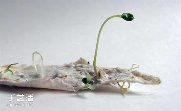 會發(fā)芽的創(chuàng)意禮物DIY 帶有種子的吊牌手工制作 -  rpnrmr.com
