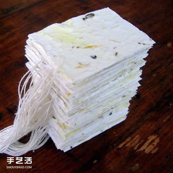 會發(fā)芽的創(chuàng)意禮物DIY 帶有種子的吊牌手工制作 -  rpnrmr.com