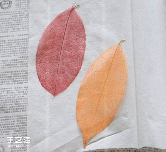 葉脈書簽最簡(jiǎn)單的做法 自制葉脈書簽的制作方法 -  rpnrmr.com